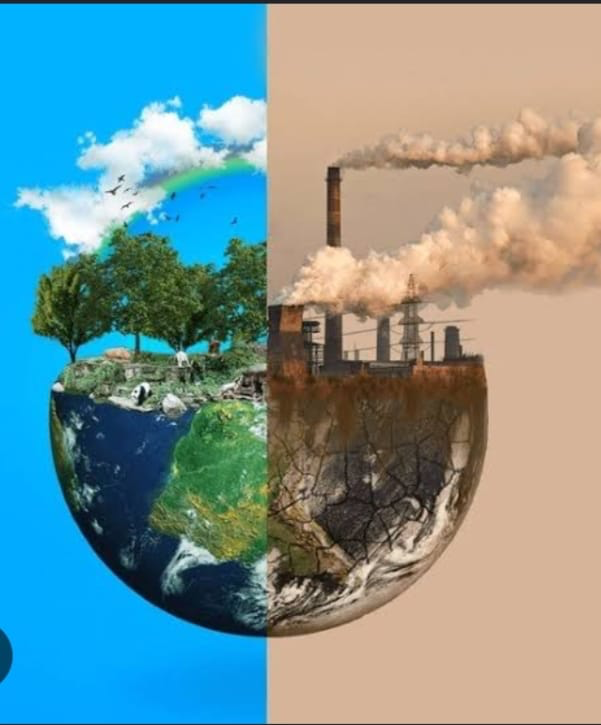Gases Environmental Impact